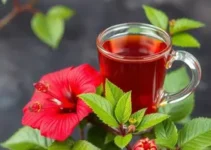 chá de hibisco