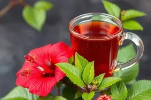 chá de hibisco