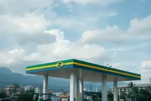 dividendos
