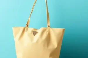 Bolsa Família