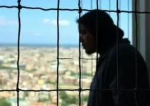 Caged e desemprego no Brasil
